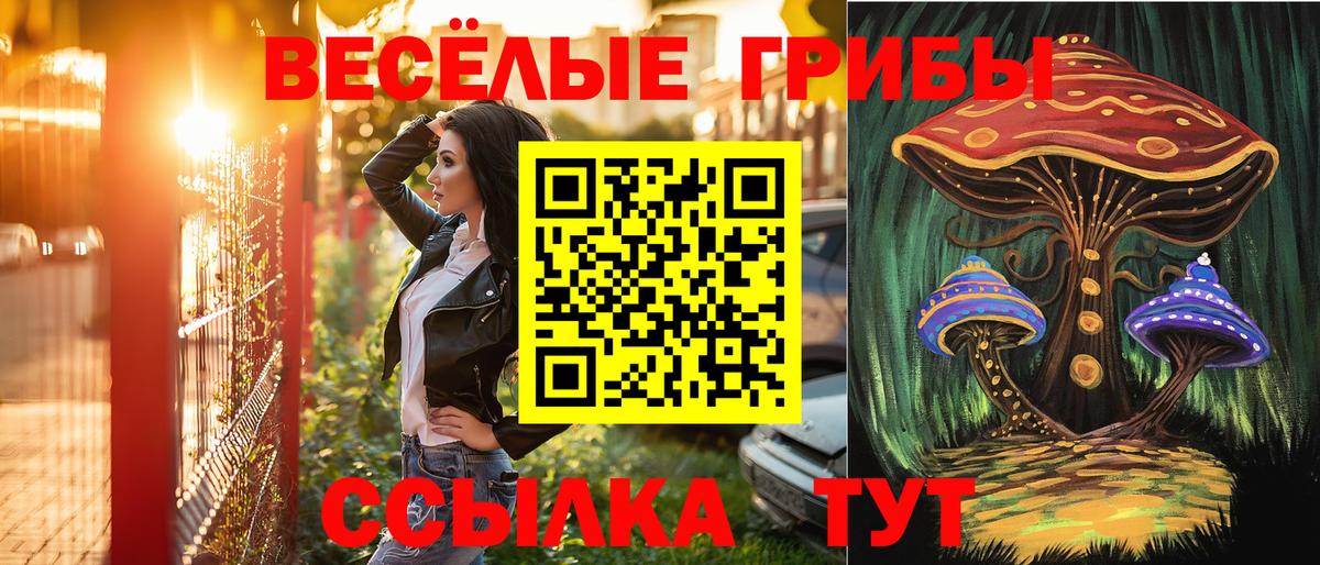 Псилоцибиновые грибы Psilocybine cubensis Котовск