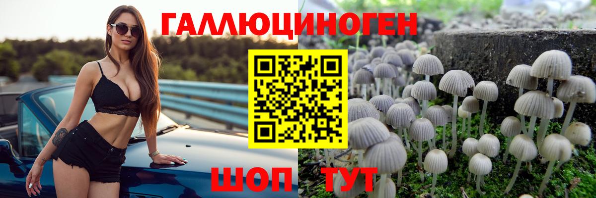 Галлюциногенные грибы Cubensis  Вход с VPN  Псилоцибиновые грибы Psilocybe  Котовск 
