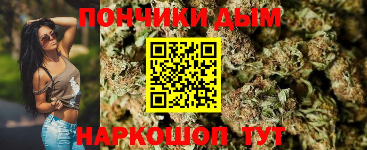 Бошки Шишки Amnesia Котовск